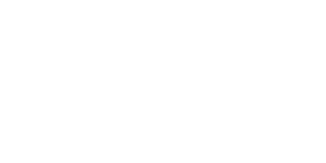 Paid Media